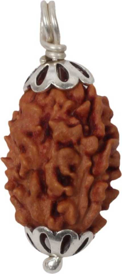     			Astrodidi 3 Mukhi Lab Certified Rudraksha Pendant