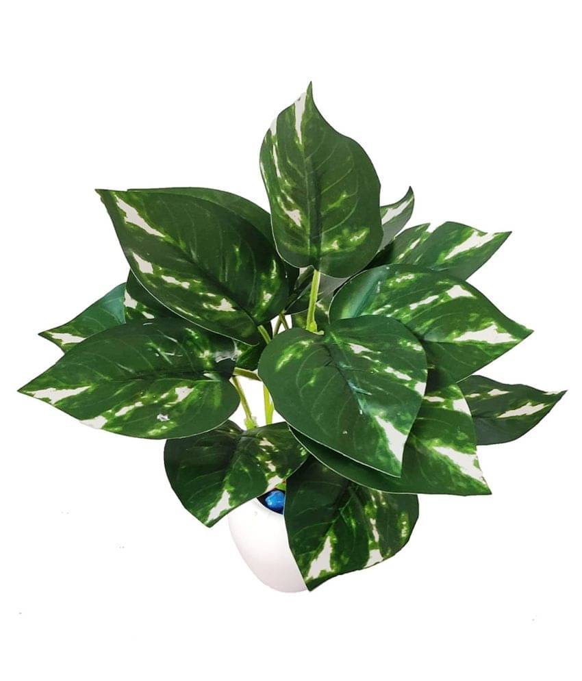 Green plant indoor Artificial Money Plant Bonsai Green Bonsai Plastic - Pack of 1 Green plant indoor Artificial Money Plant Bonsai Green Bonsai Plastic - Pack of 1