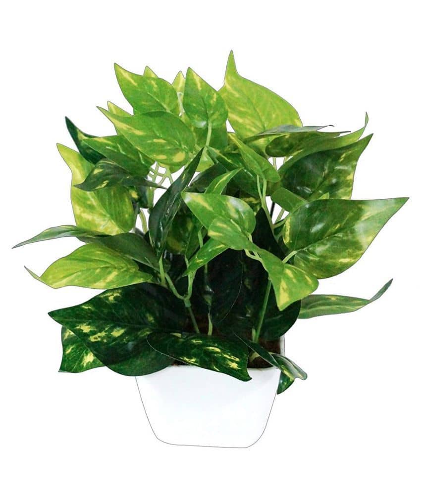 Green plant indoor Artificial Money Plant Bonsai Green Bonsai Plastic - Pack of 1