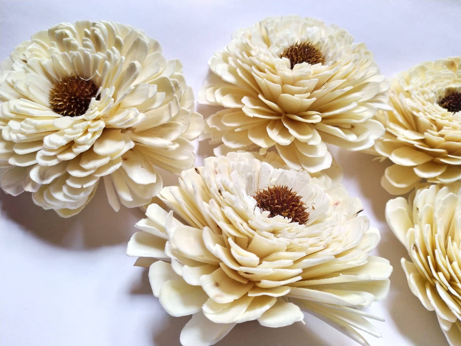 craftaft Sunflower White Artificial Flowers - Pack of 10