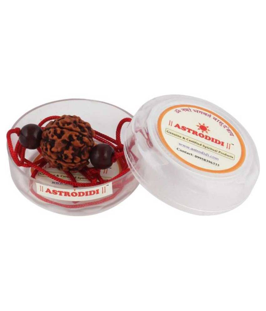     			Astrodidi 6 Mukhi Rudraksha With Red Chandan Beads