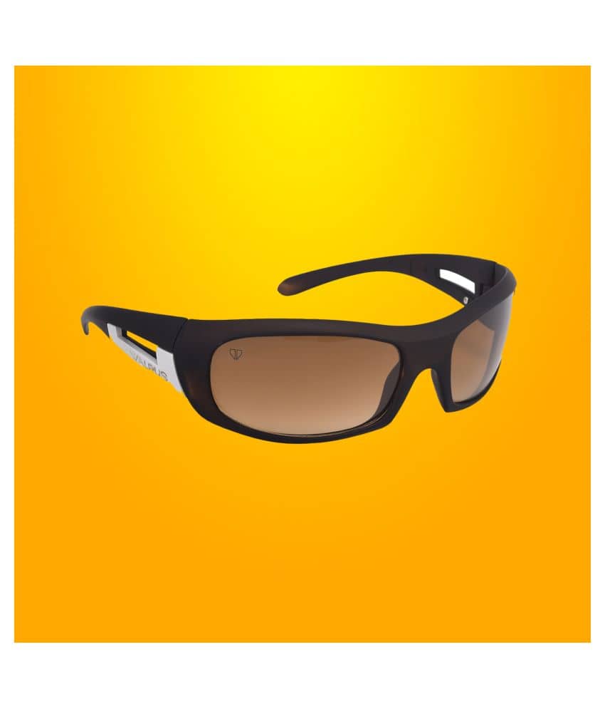 Walrus - Brown Square Sunglasses ( WS-BDN-090909D ) - Sunglasses | Buy online on ZillyBuy
