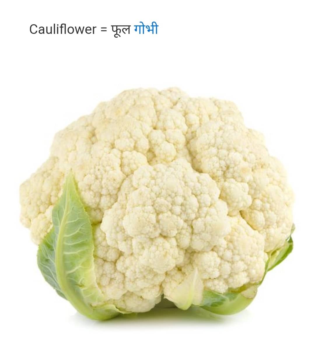 GROW ORGANIC HOME FARM CAULIFLOWER-PHOOL GOBHEE SEEDS (1 PACKET)