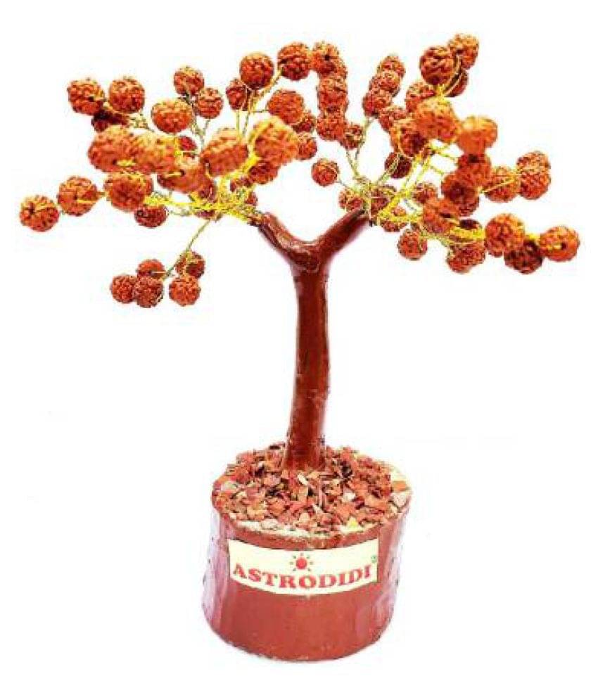     			Astrodidi Rudraksha Tree For Vastu And Home Decorative
