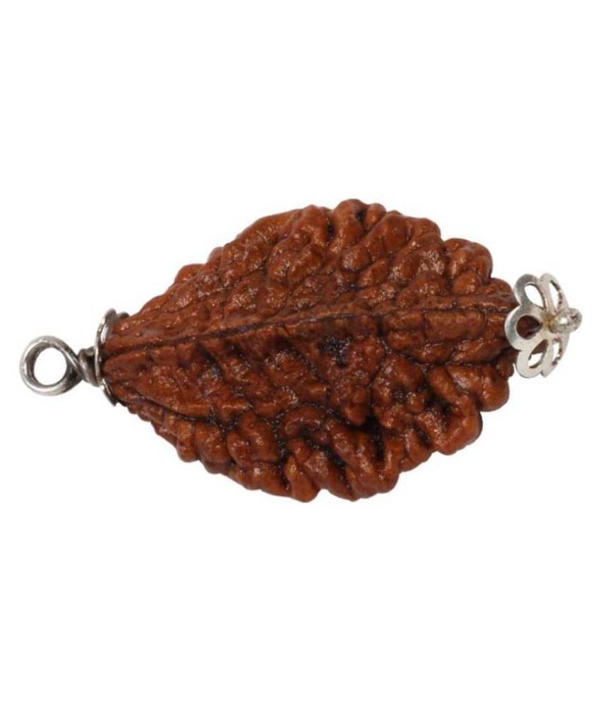     			Astrodidi 2 Mukhi Rudraksha Pendant Wth Lab Certificate