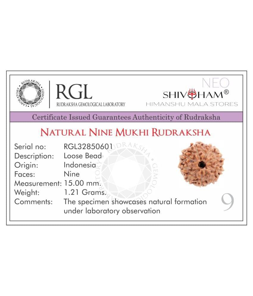SHIVOHAM 9 Mukhi Lab Certified Rudraksha (Origin Java) Good Shape & Matured Bead (Size 15-18mm) SHIVOHAM 9 Mukhi Lab Certified Rudraksha (Origin Java) Good Shape & Matured Bead (Size 15-18mm)