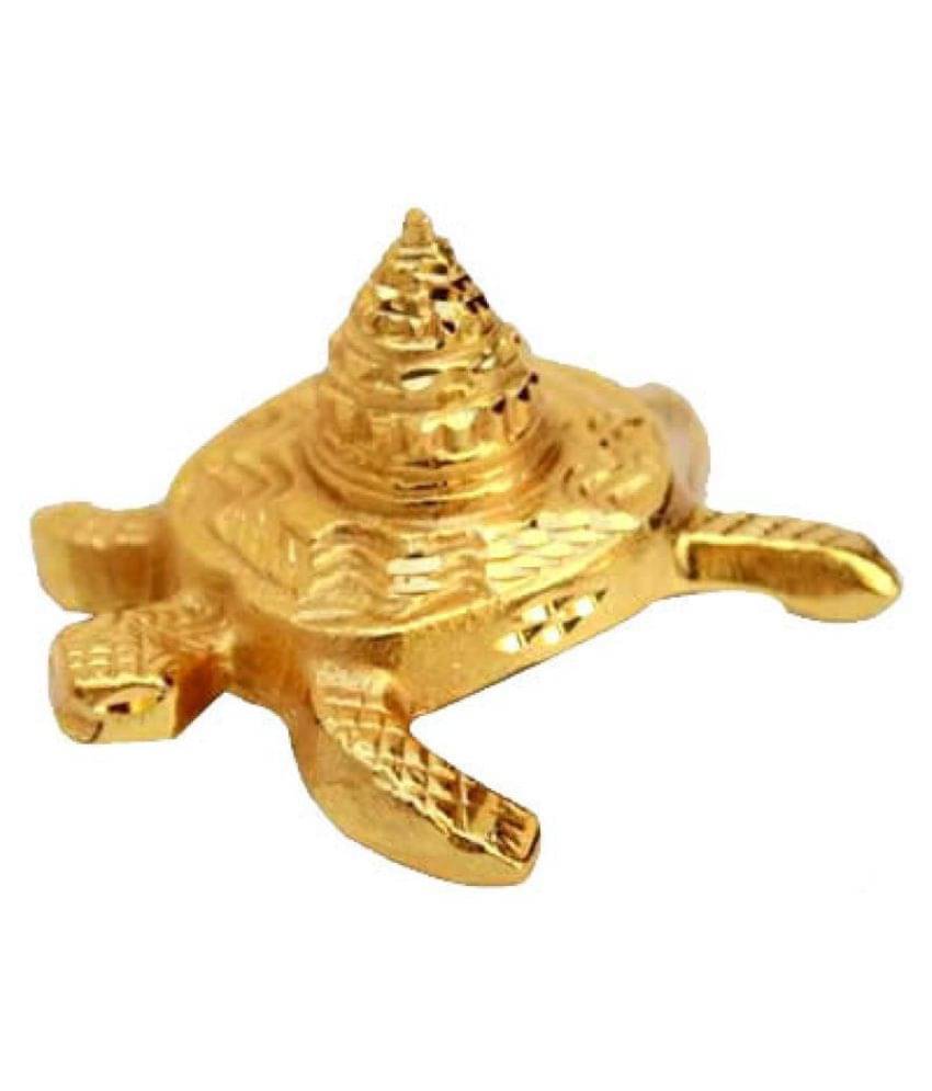     			jsk collection Tortoise