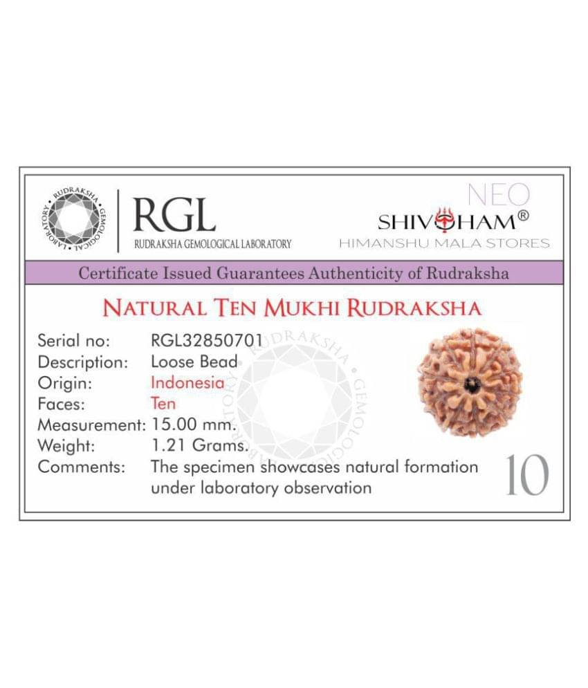 SHIVOHAM 10 Mukhi Lab Certified Rudraksha (Origin Java) Good Shape & Matured Bead (Size 15-18mm) SHIVOHAM 10 Mukhi Lab Certified Rudraksha (Origin Java) Good Shape & Matured Bead (Size 15-18mm)