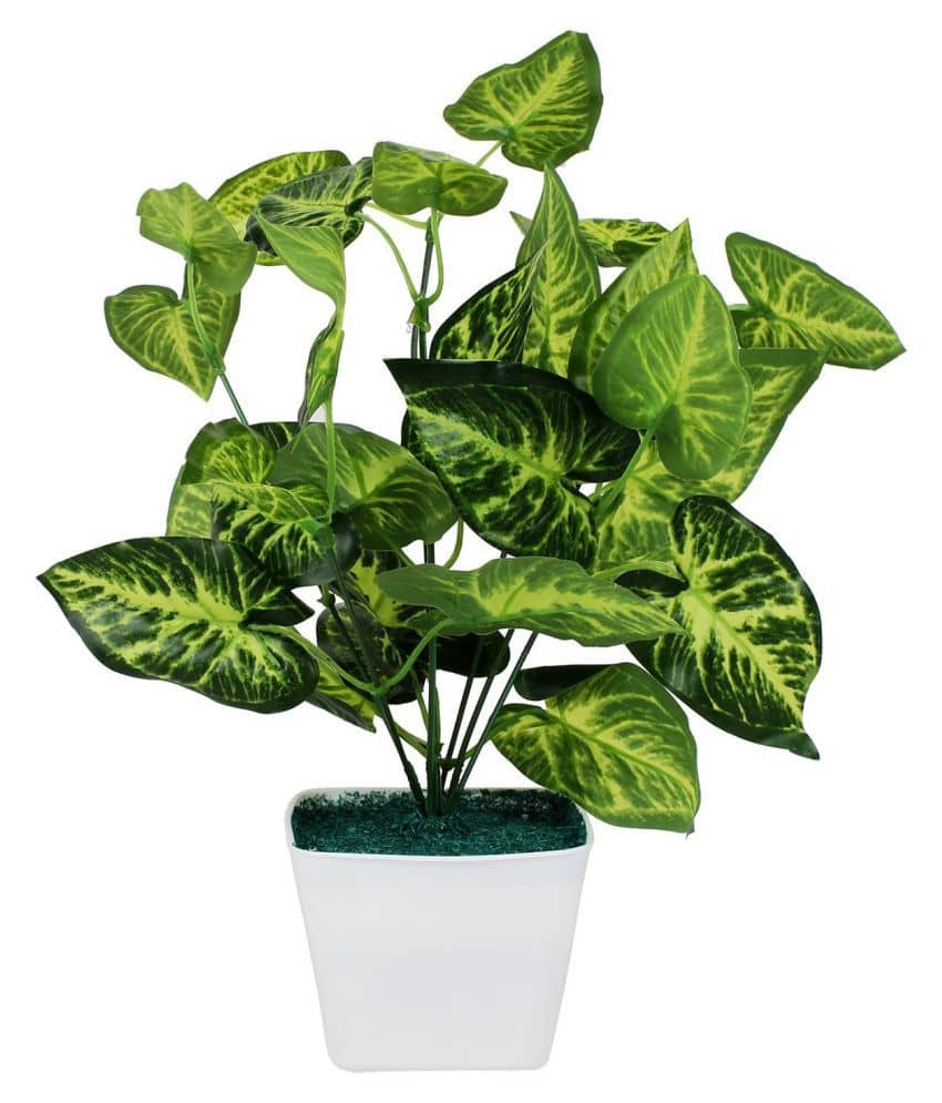 Green plant indoor Artificial Money Plant Bonsai Green Bonsai Plastic - Pack of 1