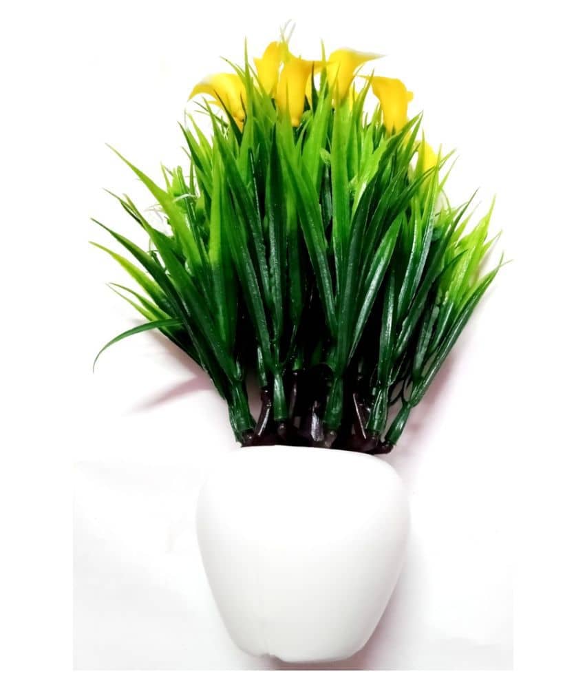 Green plant indoor Wild Flower Yellow Flowers With Pot - Pack of 1