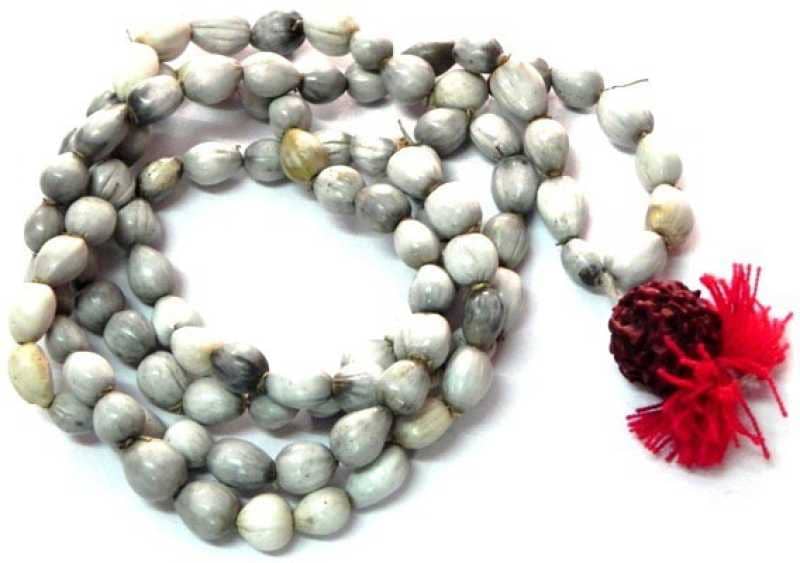 Astrodidi Vaijayanti Mala