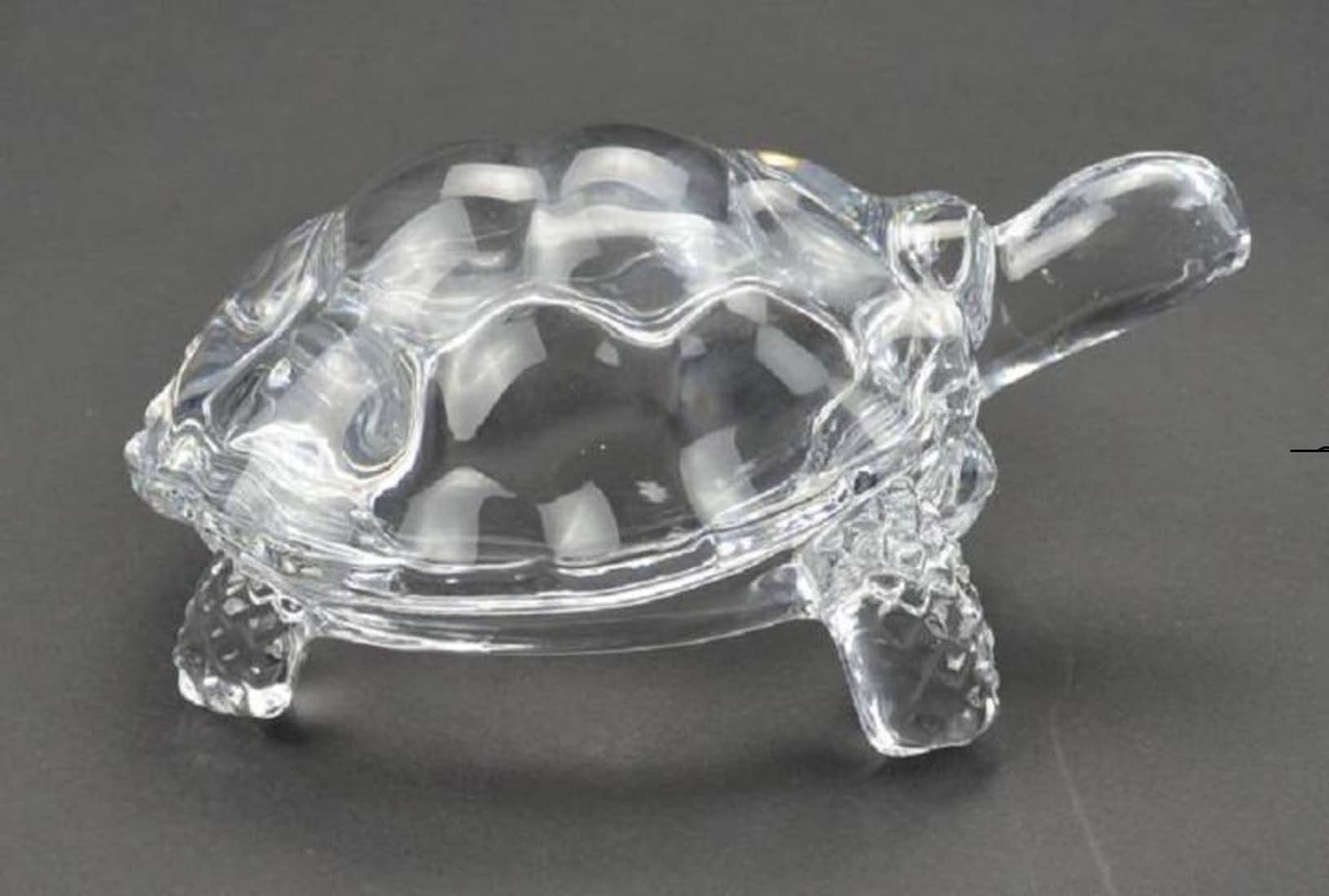 Astrodidi Glass Tortoise Kachua For Vastu