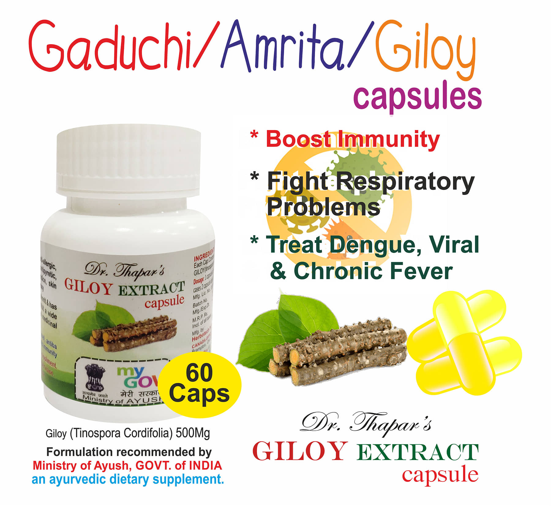 Gaduchi /Amrita/Giloy (Tinosporia Cordifolia) 60 Capsule 500 Mg