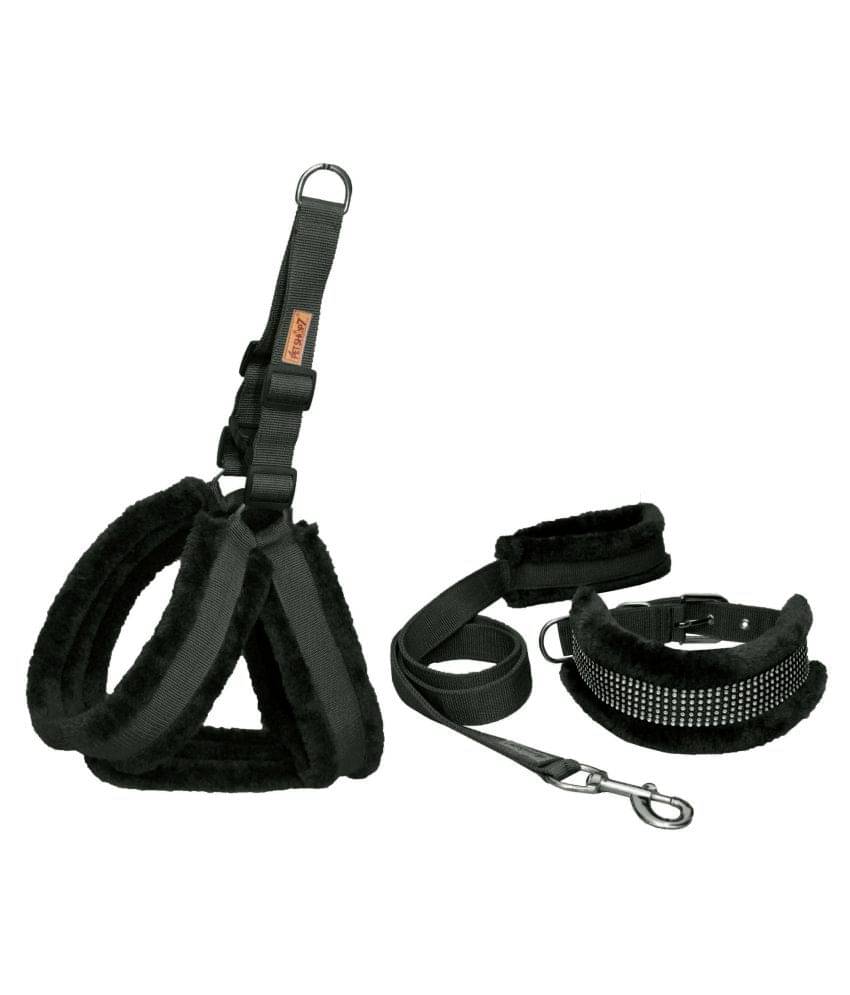     			Petshop7 - Black Dog Combo (Medium)