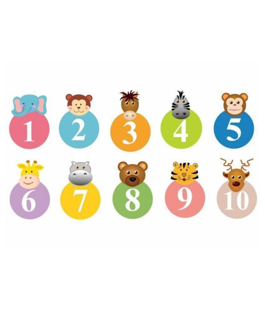     			Asmi Collection animal Animals Sticker ( 100 x 100 cms )
