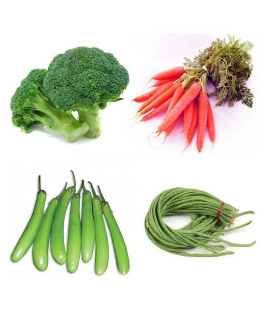     			Combo of 4 Hybrid Vegetables Seeds for Home Garden (Broccoli, Red Carrot, Green Brinjal & Lobia) F1 HYBRID