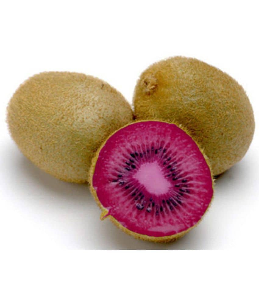 V Square Retail Kiwi Fruit Seeds