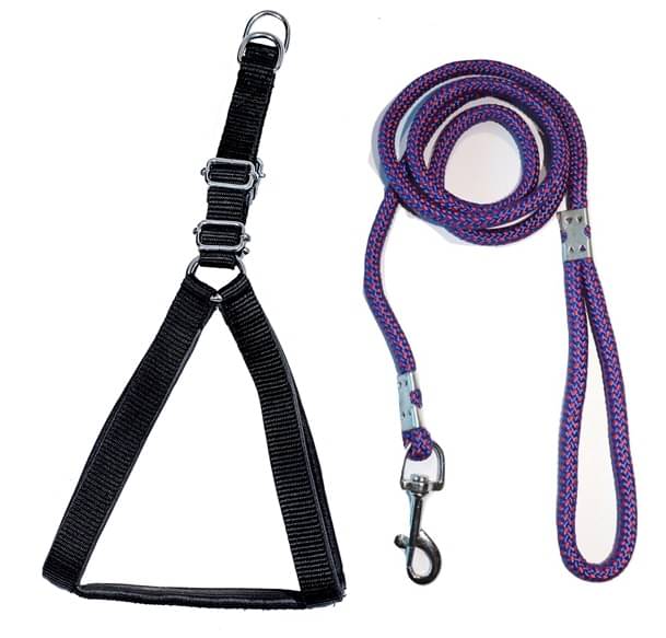 Tame Love - Multicolor Dog Combo (Small) Tame Love - Multicolor Dog Combo (Small)