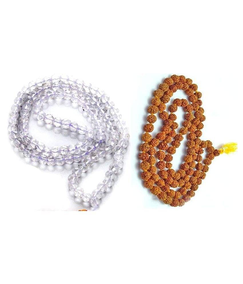     			Video Zone Rudraksha Pack of 2