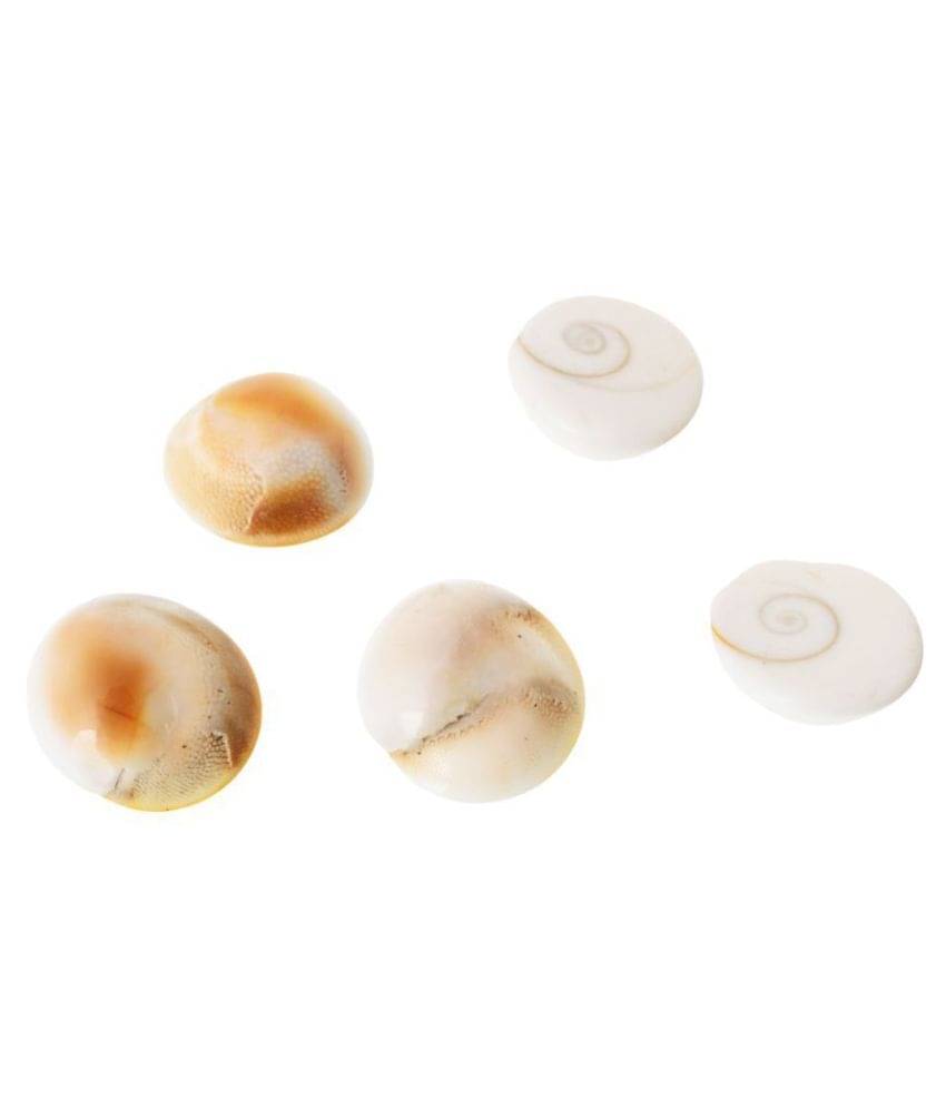 Kesar Zems Stone Gomti (5 cm x 4 cm x 0.02 cm, White, Pack of 5)     			Kesar Zems Stone Gomti (5 cm x 4 cm x 0.02 cm, White, Pack of 5)