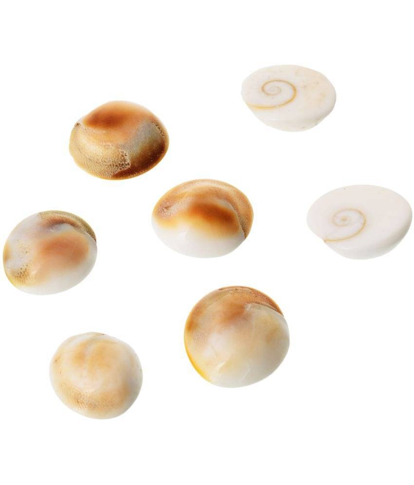 Kesar Zems Stone Gomti (5 cm x 4 cm x 0.02 cm, White, Pack of 7) Kesar Zems Stone Gomti (5 cm x 4 cm x 0.02 cm, White, Pack of 7)