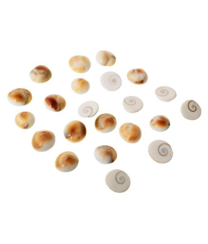 KESAR ZEMS Natural Stone Gomtichakra Pack of 22(8.5x5.5x2 cm) White KESAR ZEMS Natural Stone Gomtichakra Pack of 22(8.5x5.5x2 cm) White