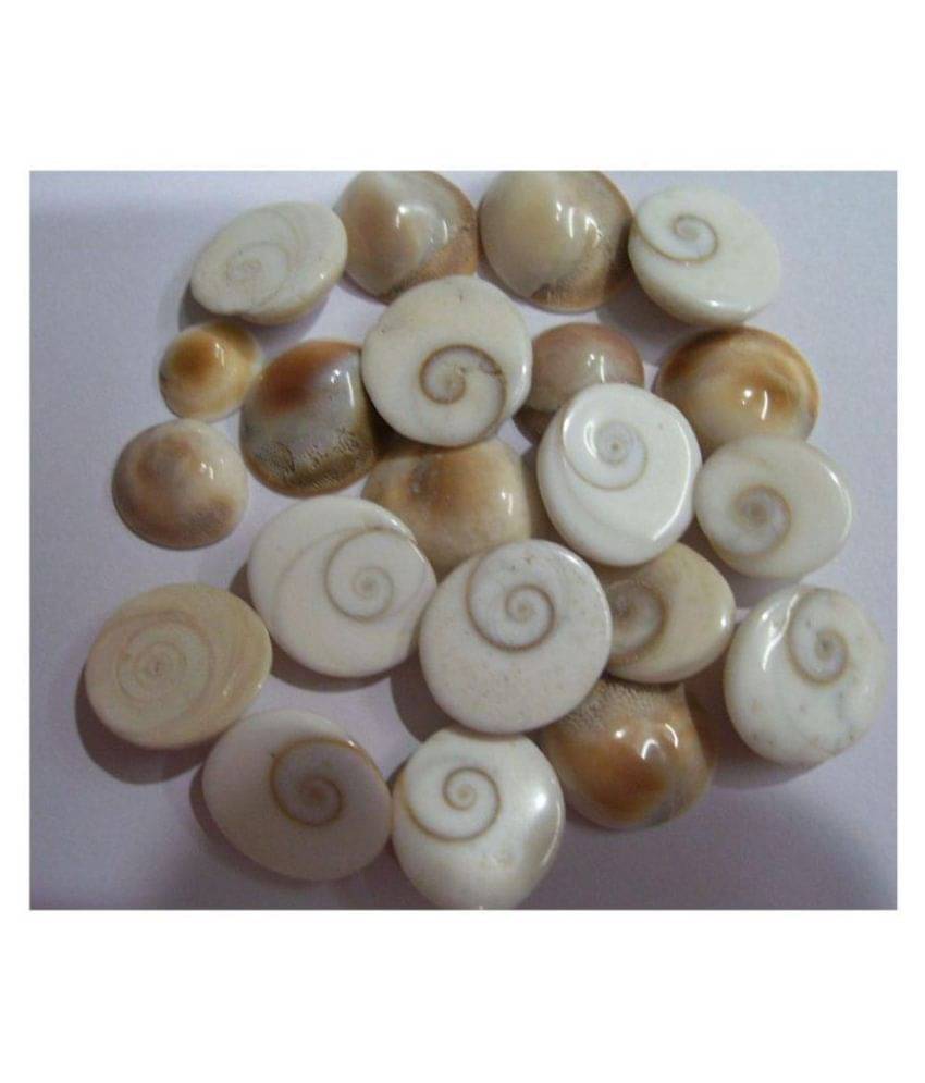     			NITIN COLLECTION Gomati Chakra21 Pieces