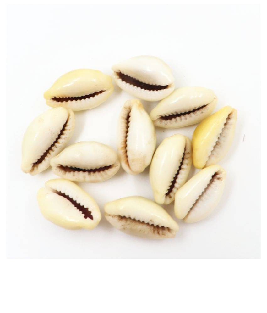     			Parashara - Stoneware Kowdi (Pack of 1)