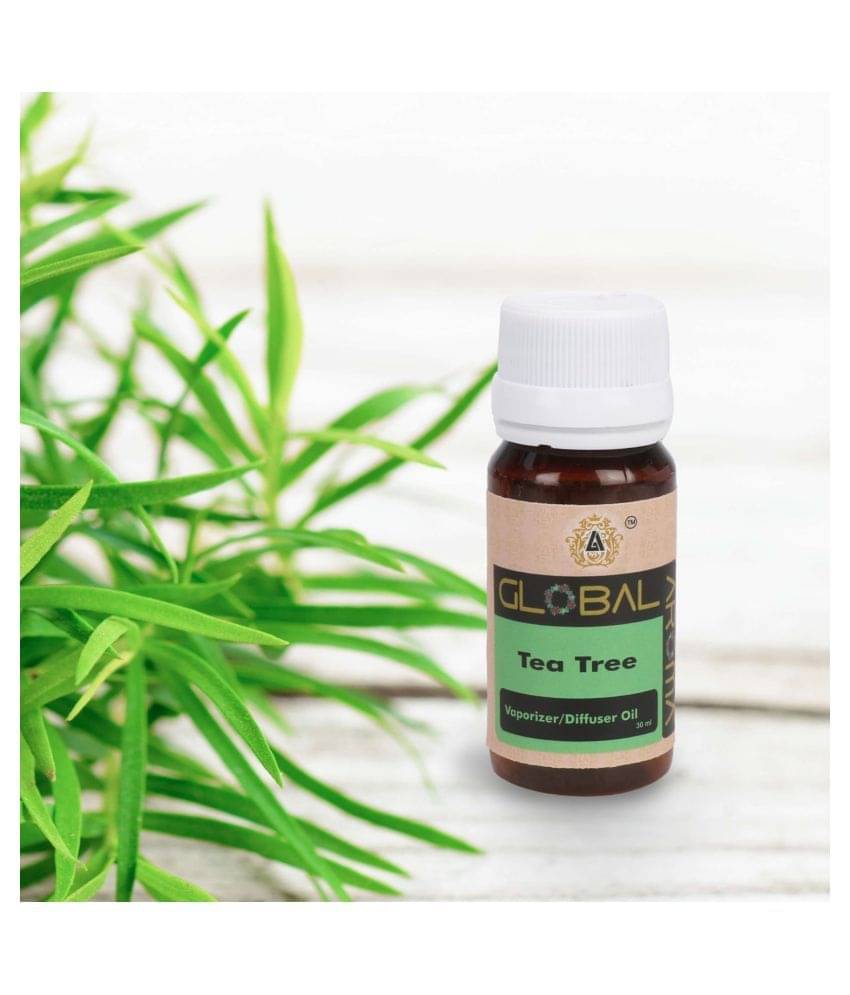     			GLOBAL AROMA Aroma Oils - Pack of 1