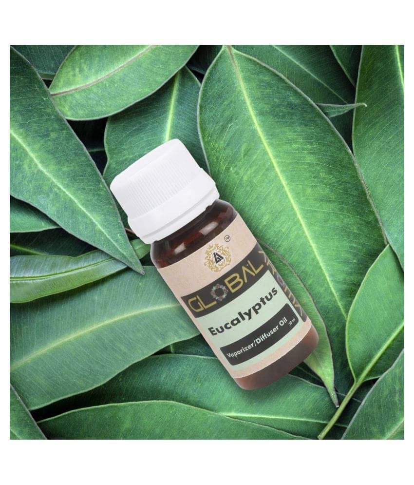     			GLOBAL AROMA Aroma Oils - Pack of 1