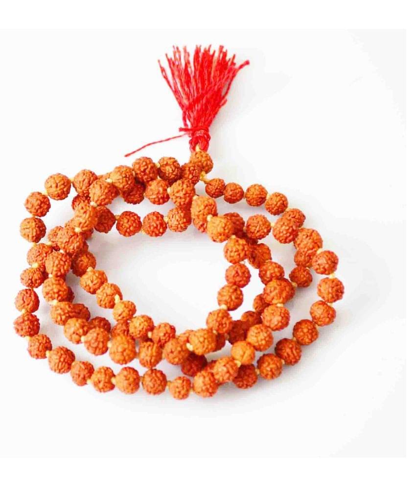     			Oceana Gems Rudraksha Pack of 1