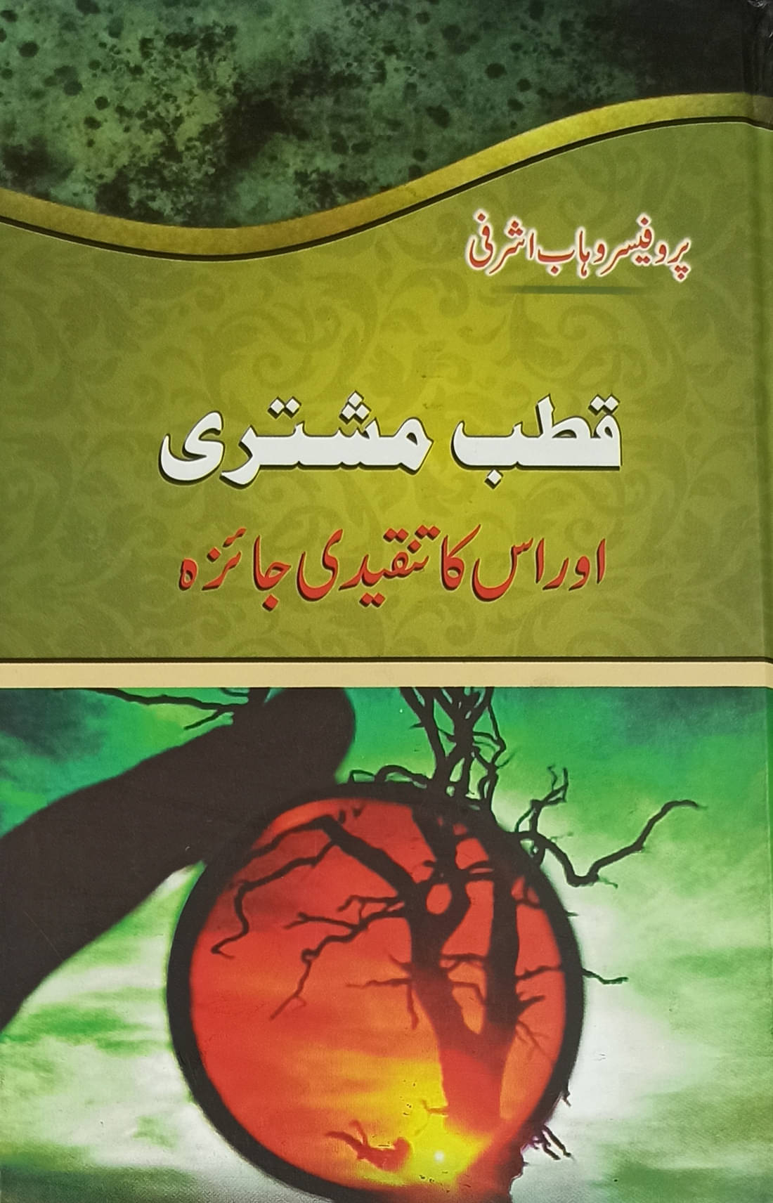     			Qutub Mushtari aur uska Tanqidi Jaiza Urdu Literary Knowledge