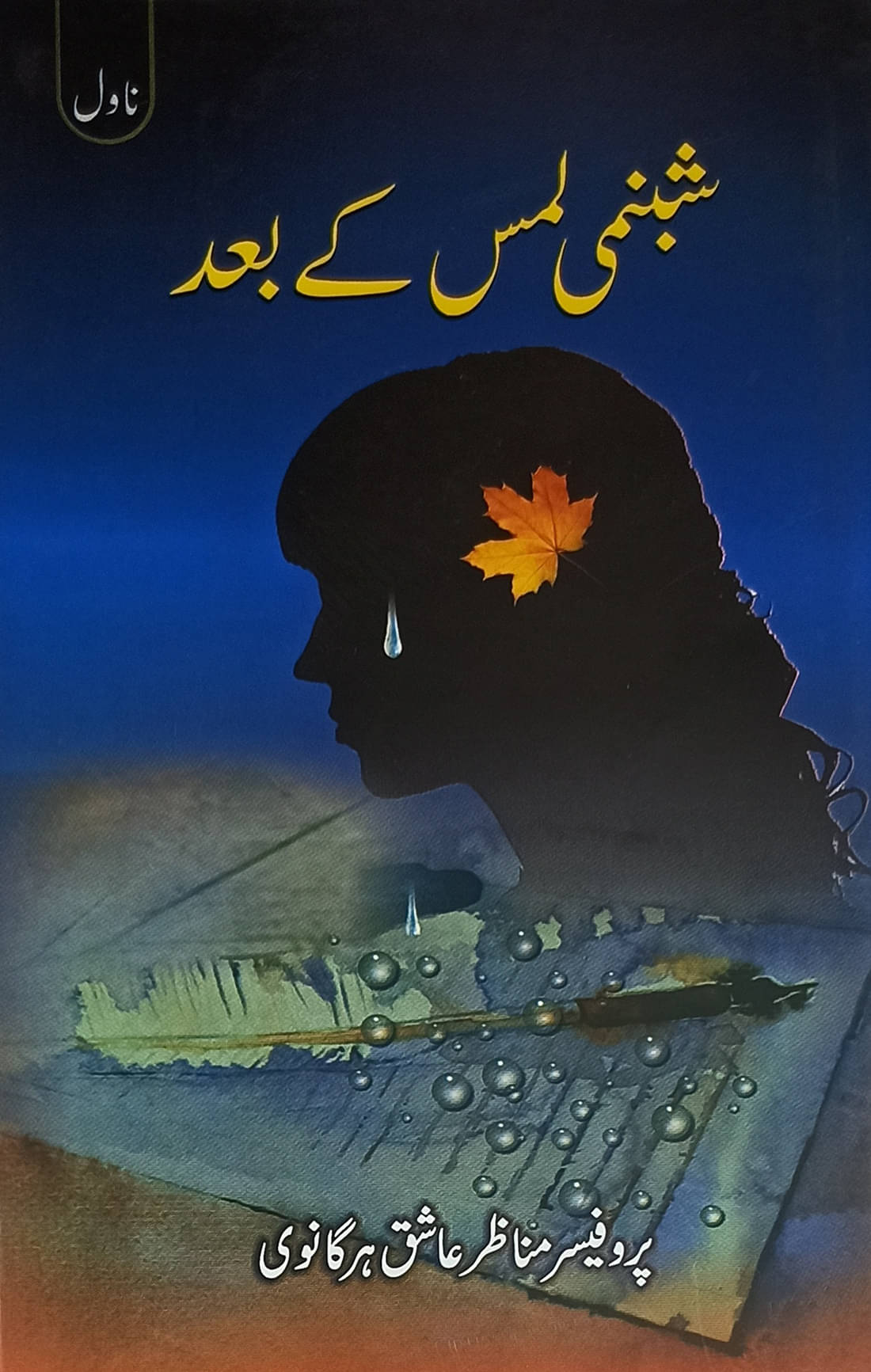     			Shabnami Lams Ke Bad Urdu Novel