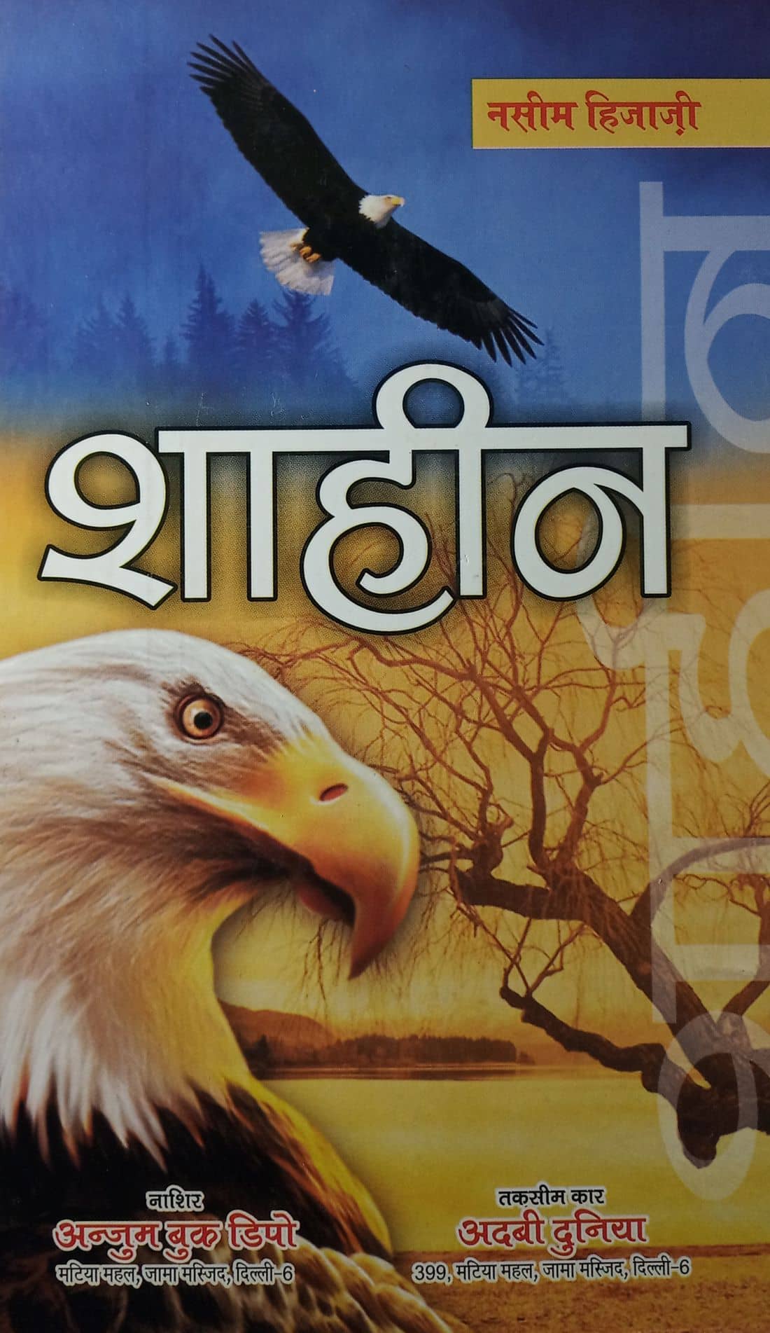 Shaheen Hindi Historical Novel About the Situation of Muslim