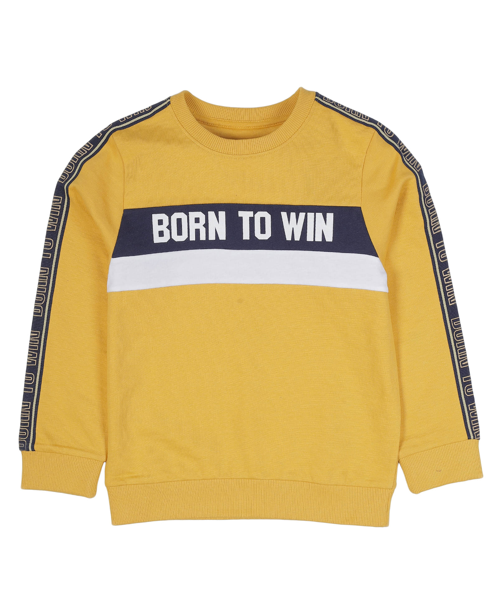     			PLUM TREE Pack of 1 Boys Cotton Sweatshirt ( Yellow )