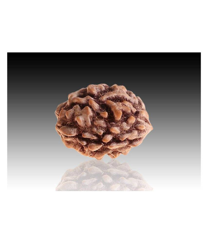     			RUDRA DIVINE - Brown Pendant ( Pack of 1 )
