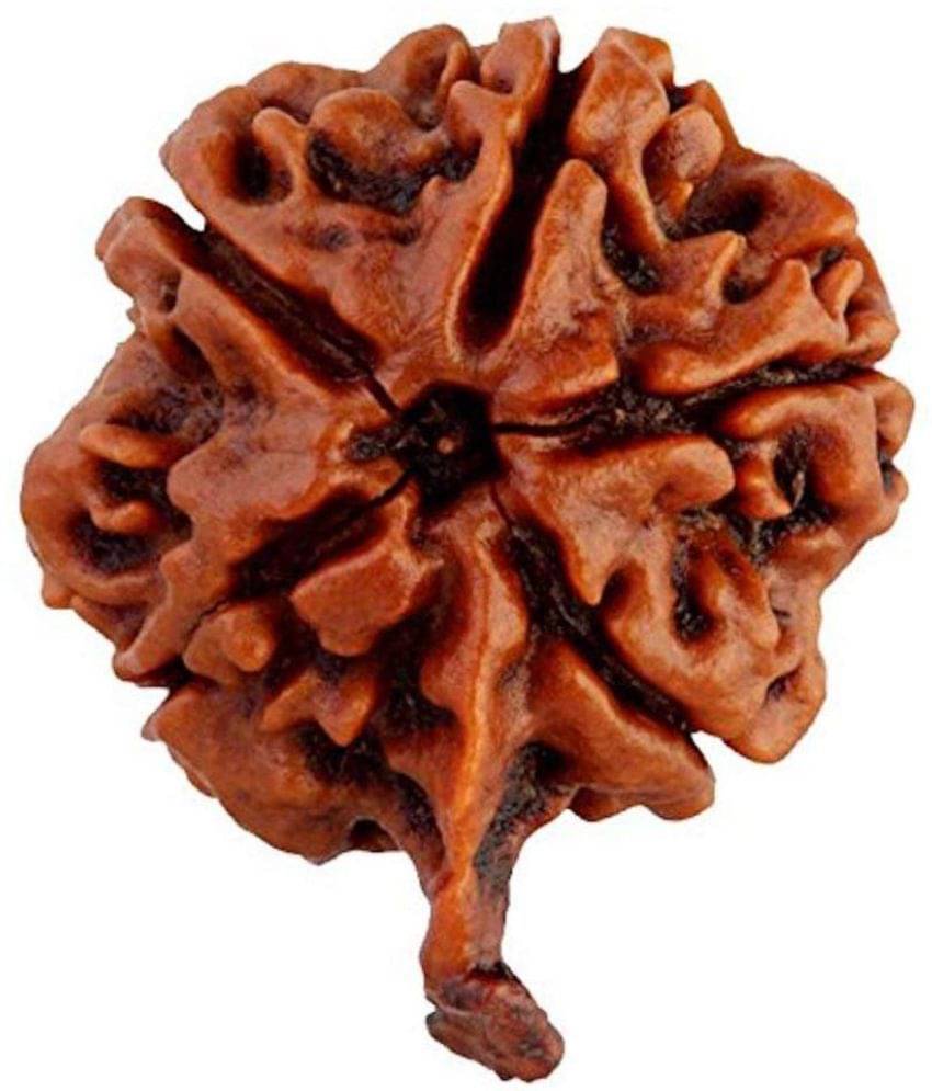     			RUDRA DIVINE - Brown Pendant ( Pack of 1 )