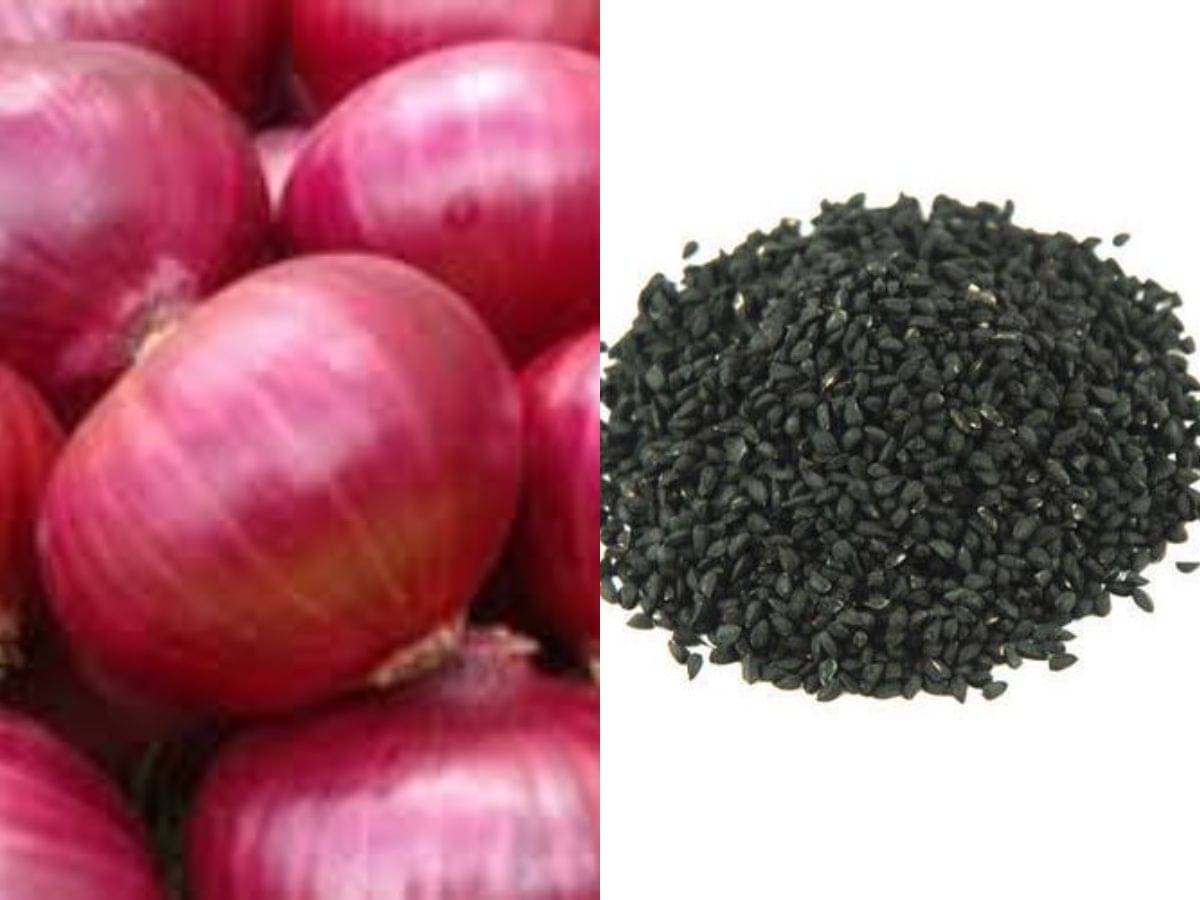     			Onion Orange Seeds, Kanda, Onions Ovalish Shaped Pyaaz Seeds 200 Seeds