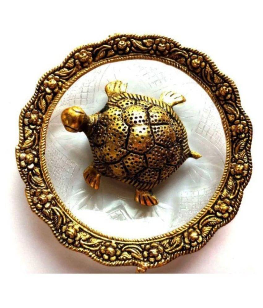     			jsk collection Tortoise