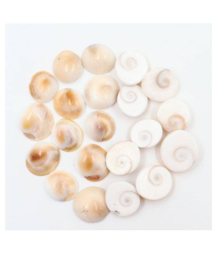     			Gomti Chakra / Gomati Chakra / White Gomti Chakra / Original Premium Quality for Puja 12-15 mm - Set of 21 Pcs