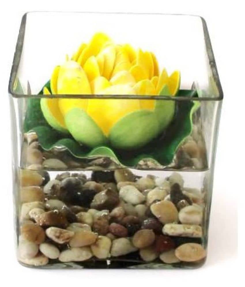 Green plant indoor Lotus Multicolour Flowers With Pot - Pack of 1