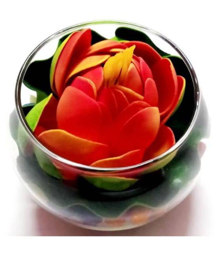 Green plant indoor Lotus Orange Flowers With Pot - Pack of 1