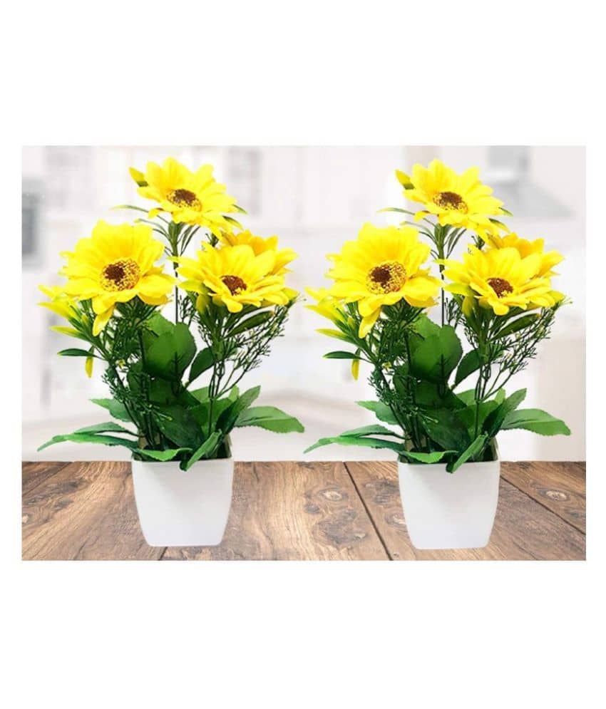 Green plant indoor Sunflower Yellow Flowers With Pot - Pack of 2