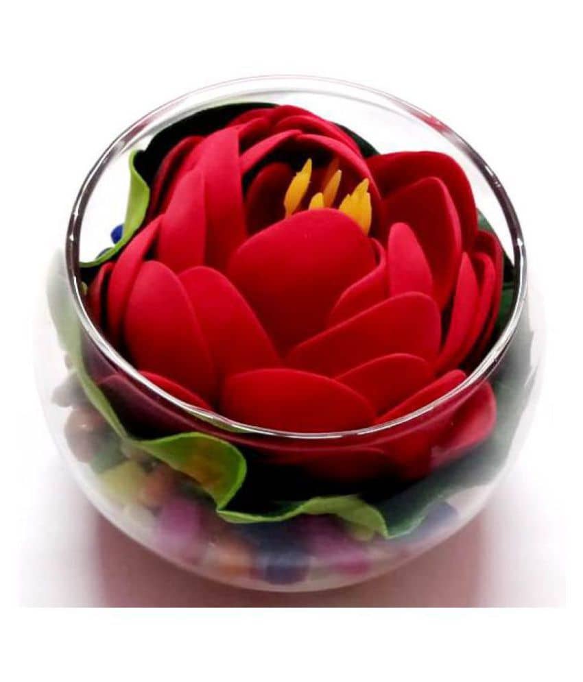 Green plant indoor Lotus Multicolour Flowers With Pot - Pack of 1