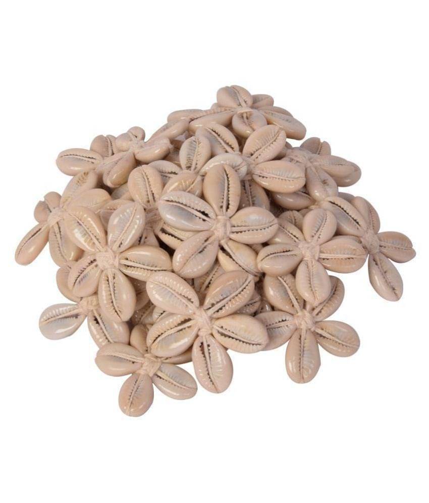     			Sea Shells Kowrie Hand Made Flowers ,15 pcs , size 4.5 cm x 4.5 cm, White Color, used in dresses,suits, home decor, art & craft, Gift Wrapping