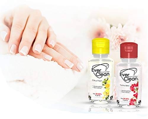    			EVERCLEAN Yummy Berry & Citrus Fresh Hand Sanitizer 900 mL Pack of 15