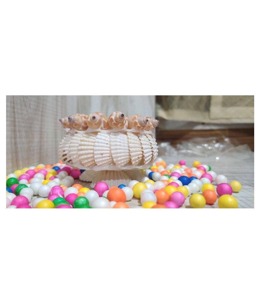     			unique style shoppe White Shell Handicraft Showpiece - Pack of 1
