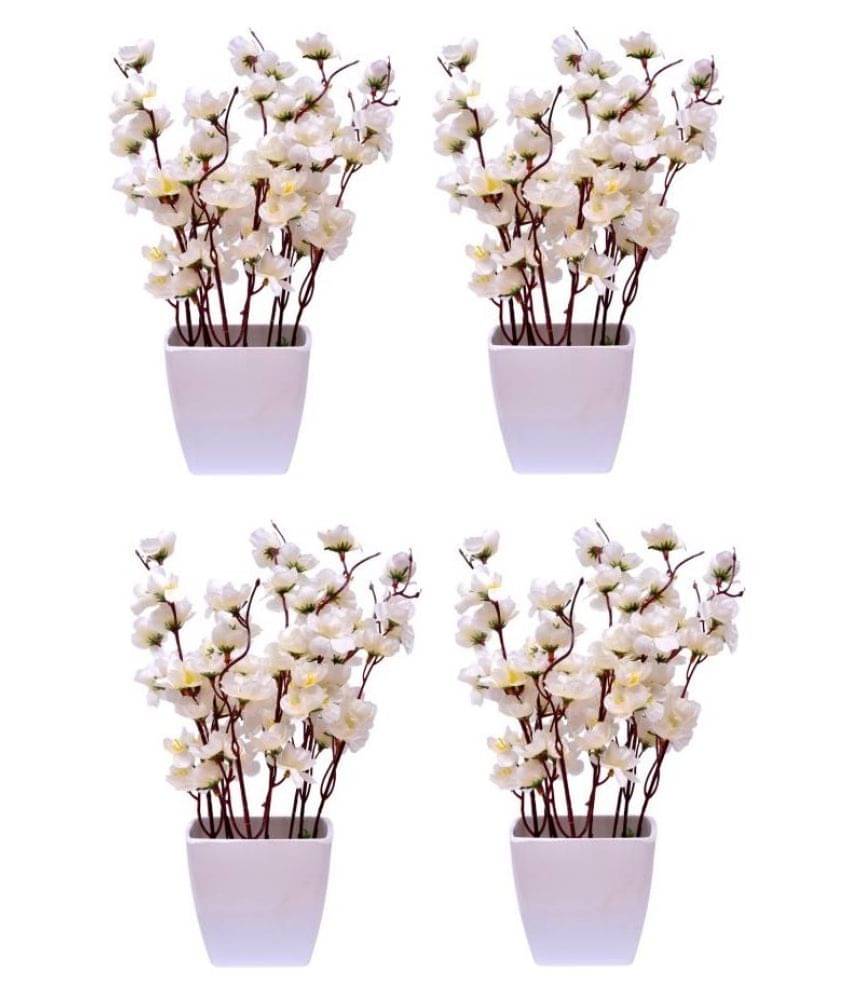 Green plant indoor Orchids White Flowers With Pot - Pack of 4 Green plant indoor Orchids White Flowers With Pot - Pack of 4