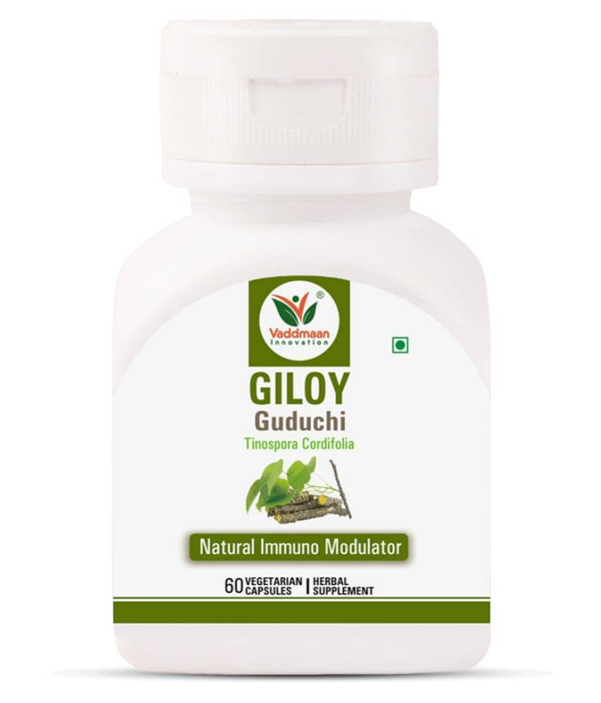 Vaddmaan Giloy (Pure Bitter Extract) Vegetarian Capsules - Immune Health & Well-Being (Pack of 1) Guduchi, Tinospora Cordifolia Vaddmaan Giloy (Pure Bitter Extract) Vegetarian Capsules - Immune Health & Well-Being (Pack of 1) Guduchi, Tinospora Cordifolia