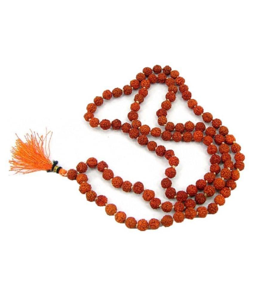     			Gems Jewels Online Rudraksha Pack of 1